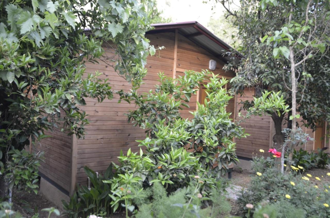 Mercan Pension Olympos Exterior photo