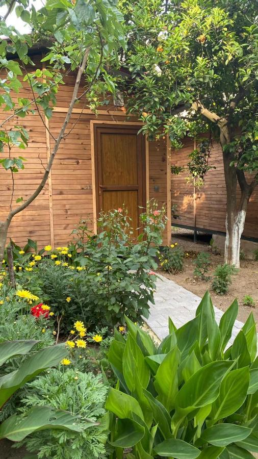 Mercan Pension Olympos Exterior photo