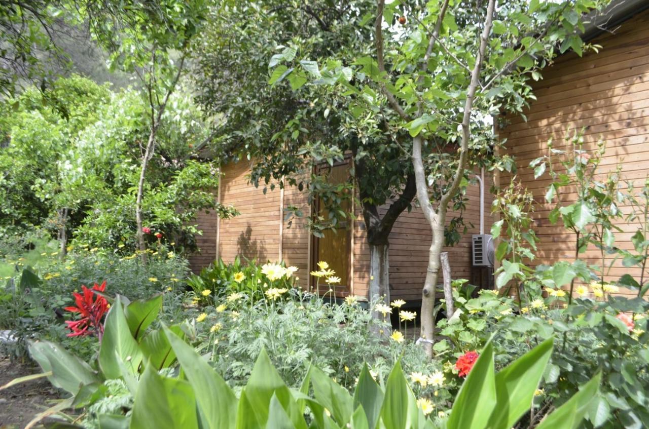 Mercan Pension Olympos Exterior photo