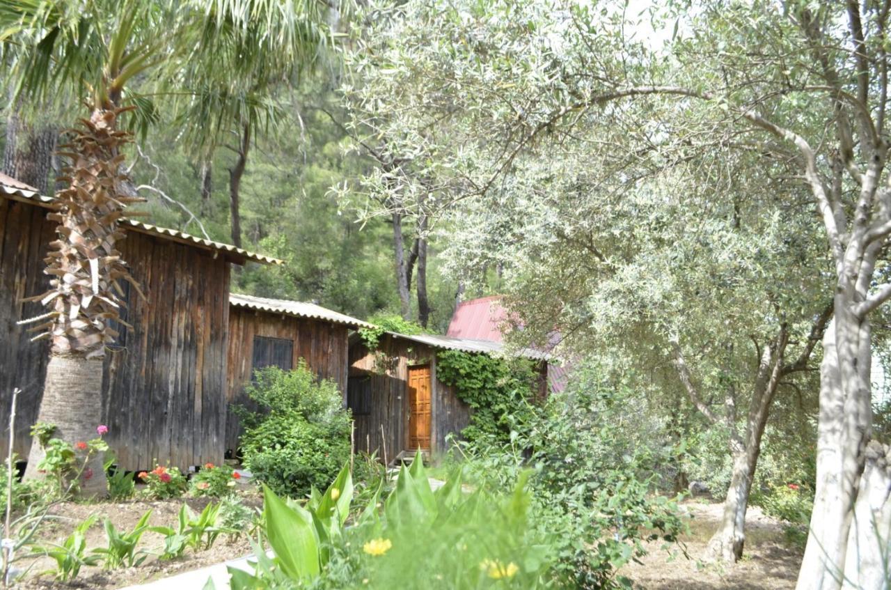 Mercan Pension Olympos Exterior photo