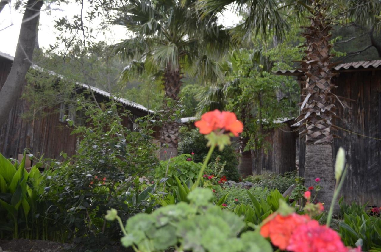 Mercan Pension Olympos Exterior photo