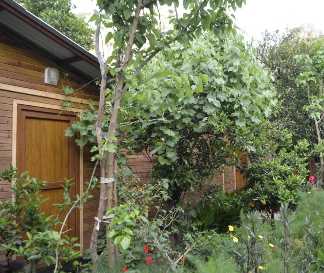 Mercan Pension Olympos Exterior photo