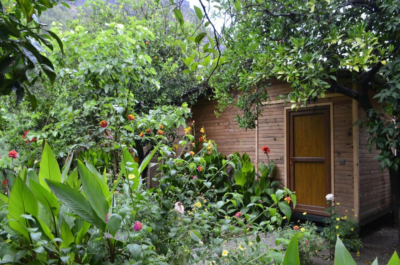 Mercan Pension Olympos Exterior photo