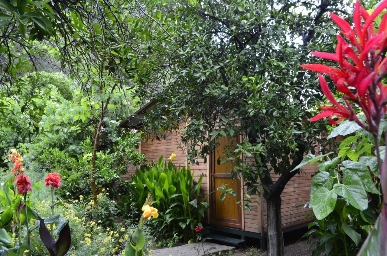Mercan Pension Olympos Exterior photo