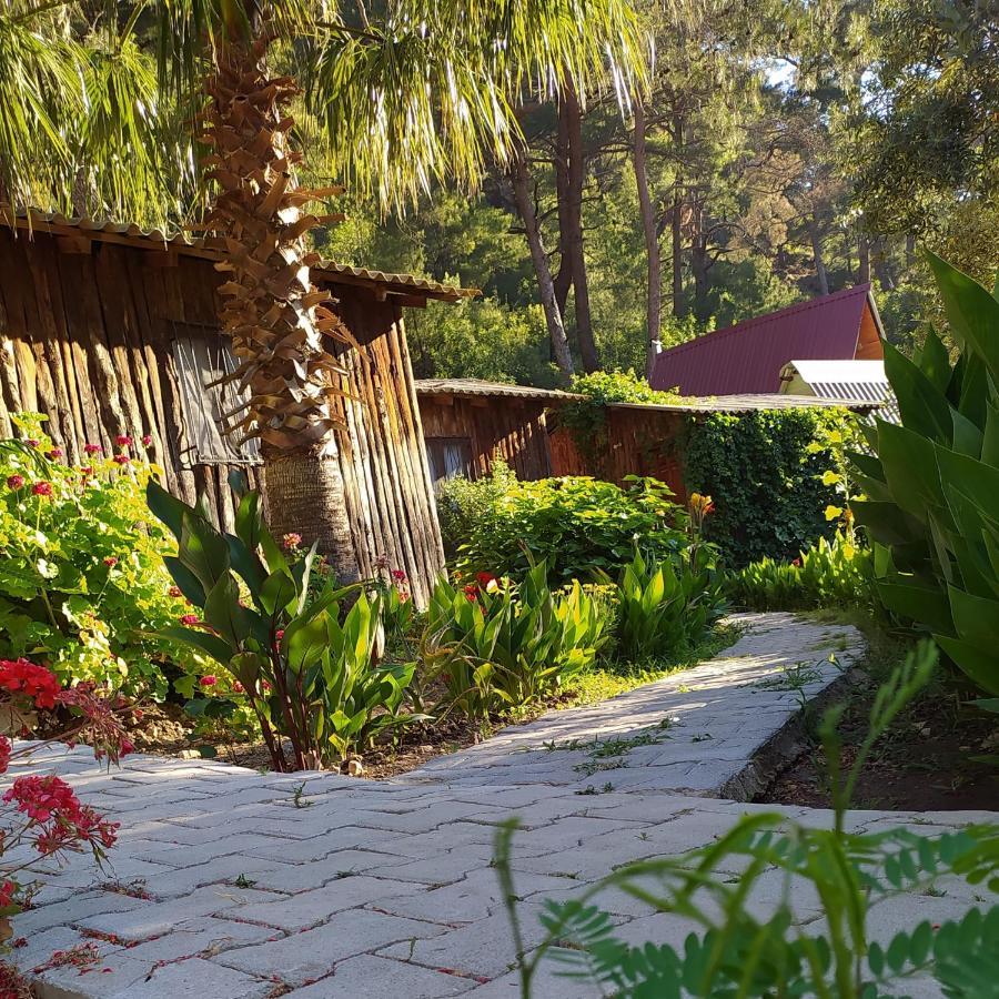 Mercan Pension Olympos Exterior photo