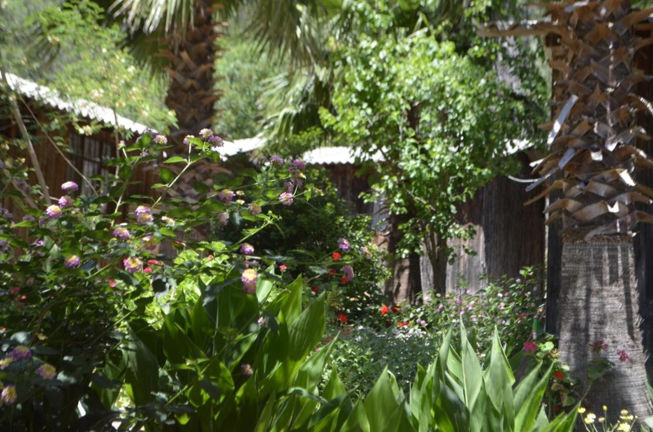 Mercan Pension Olympos Exterior photo