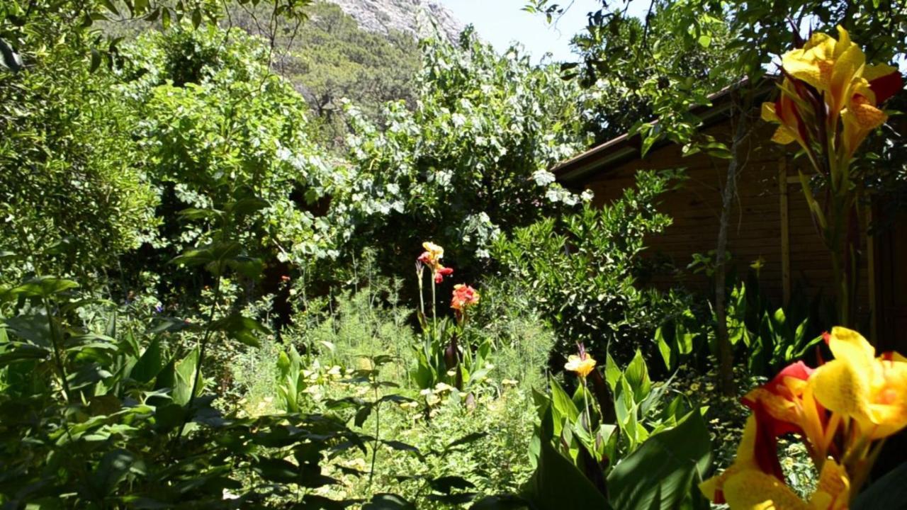 Mercan Pension Olympos Exterior photo